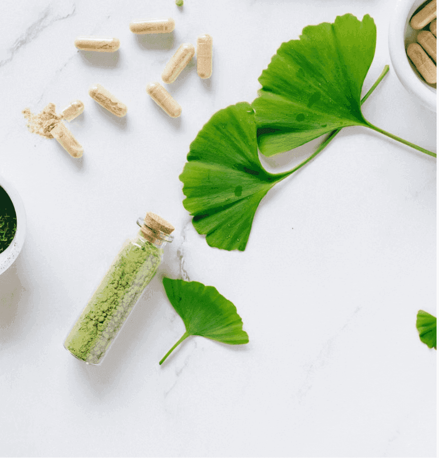 Ayurvedic botanicals, ginkgo leaves and herbal capsules arranged on a marble surface.